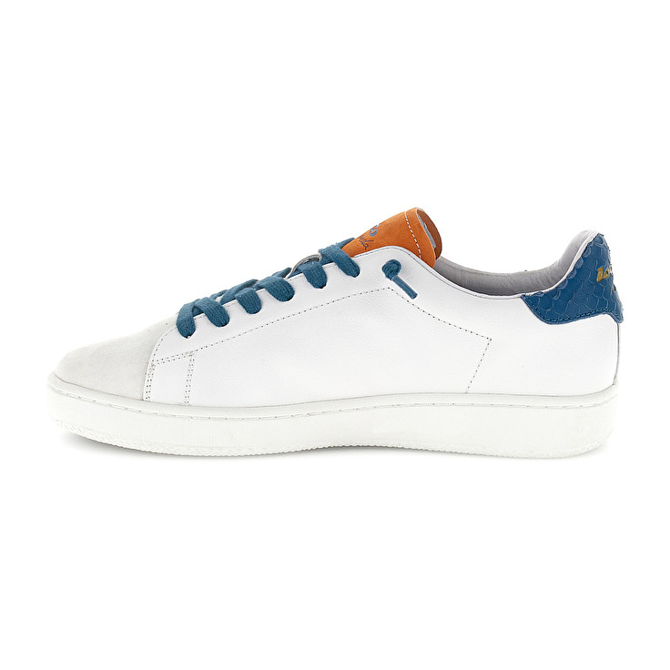 Men Lotto Autograph Fish Leggenda White / Blue | 05329-QGEW