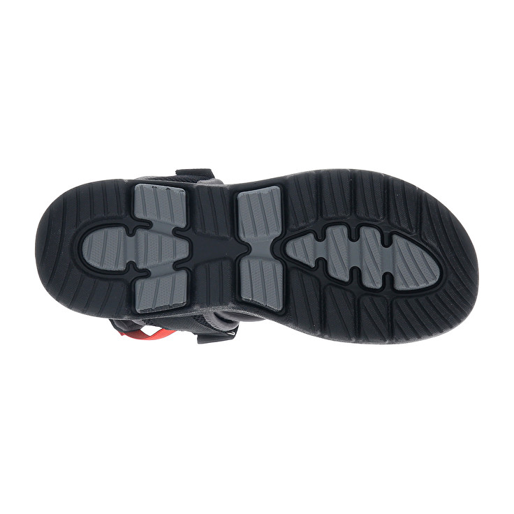 Men Lotto Levante 2 Sandals Black | 82375-HZMQ