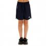 Navy / Blue