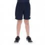 Navy / Blue